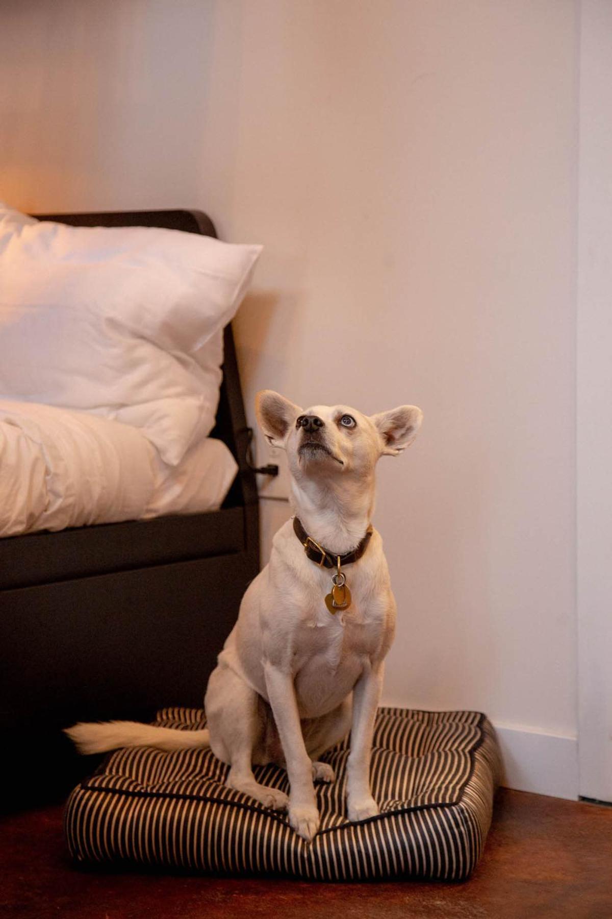 Reading Viaduct Loft, City Center, Contactless Check In フィラデルフィア エクステリア 写真